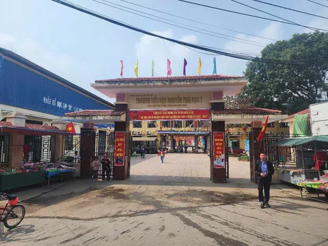 Vĩnh Phúc: Chỉ đạo Trường Tiểu học Nguyễn Thái Học 1 (Thổ Tang) xử lý nghiêm giáo viên có hành vi không chuẩn mực đối với học sinh