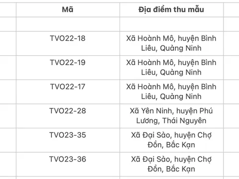 Đánh giá đa dạng di truyền và nhận dạng nguồn gene cây Quế (Cinamomum) bằng giải trình tự nucleotide vùng TrnL/TrnF