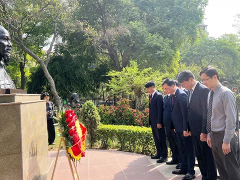 Đoàn công tác tỉnh Vĩnh Phúc dâng hoa tại Tượng đài Chủ tịch Hồ Chí Minh và làm việc với Đại sứ quán Việt Nam tại Ấn Độ