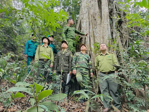 Tuyên Quang: Na Hang quản lý bảo vệ, phòng cháy, chữa cháy rừng