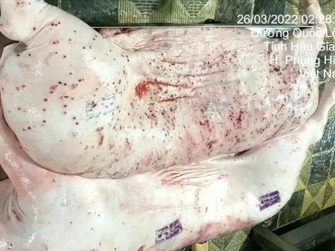 Bộ Nông nghiệp và Môi trường Đề nghị điều tra nghi vấn C.P Việt Nam bán thịt nhiễm bệnh ra thị trường
