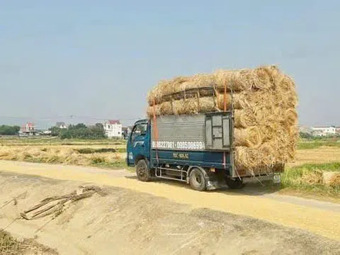 Mô hình phát triển kinh tế từ rơm rạ đang trở thành một xu hướng toàn cầu trong bối cảnh kinh tế tuần hoàn và giảm phát thải carbon