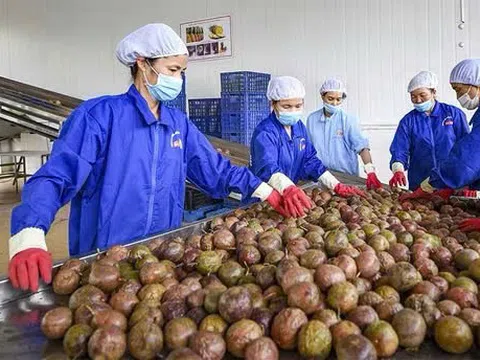 Hiệp định Thương mại tự do Việt Nam - EU: Cú hích thúc đẩy quan hệ thương mại giữa Việt Nam và Liên minh châu Âu