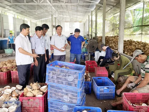 Bến Tre: HTX Nông nghiệp Thới Thạnh giúp thay đổi cuộc sống nông dân