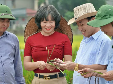 CETDAE: Hành trình thầm lặng tạo ra “bữa cơm không đường” cho người tiểu đường và người cao tuổi