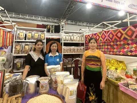 Giao lưu kết nối, giới thiệu mô hình sinh kế hòa nhập cộng đồng cho nạn nhân mua bán người tại Thủ đô Hà Nội