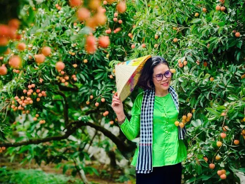 Thanh Hà – Miền quả ngọt bình yên giữa mùa vải chín cùng CEO Huyền Phạm