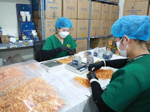 Vĩnh Phúc: Hợp tác xã Nấm Tam Đảo được công nhận là doanh nghiệp xuất sắc