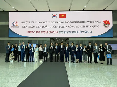 Nông dân trẻ Việt Nam thăm quan thực tế mô hình nông nghiệp tiên tiến Hàn Quốc