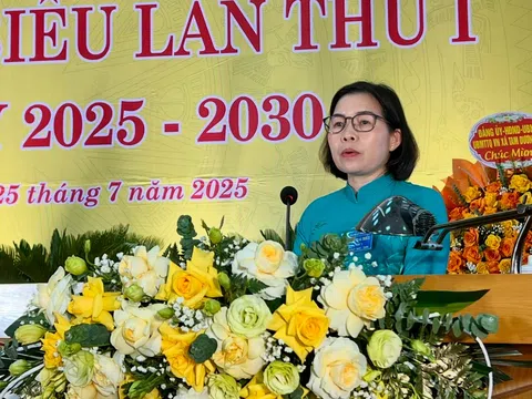 Phú Thọ: Tam Dương huy động hiệu quả nguồn lực, phát triển kinh tế – xã hội ổn định