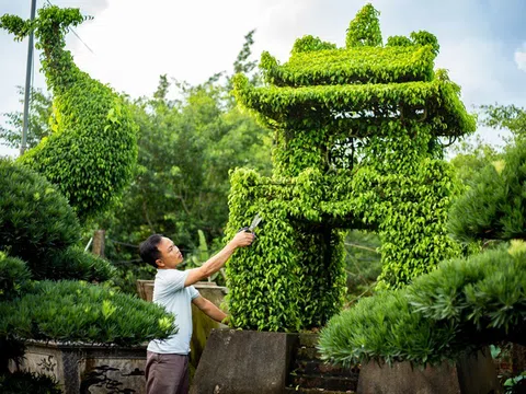 Thú chơi cây cảnh: Từ truyền thống đến giải pháp phát triển bền vững