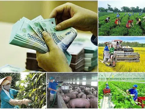 Gỡ vướng cho các chương trình mục tiêu quốc gia: Chính phủ chỉ đạo quyết liệt