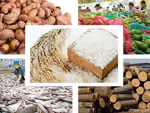 Tối ưu chuỗi giá trị nông sản Việt: Hướng đi nào cho xuất khẩu bền vững?