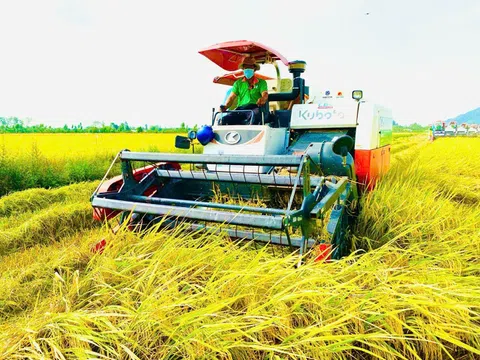 Con đường đột phá của nông sản Việt: Hướng tới 100 tỷ USD cần những giải pháp cụ thể nào?