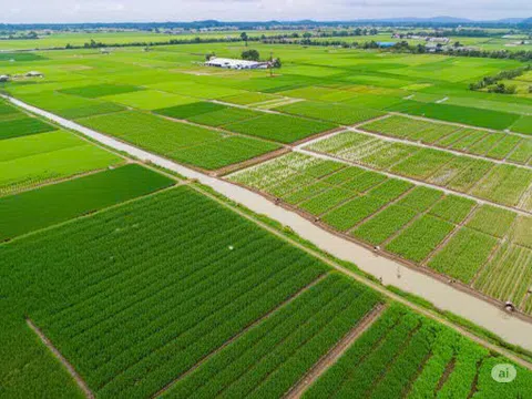 Nông nghiệp sinh thái: Hướng đi tất yếu cho sự phát triển bền vững của Việt Nam