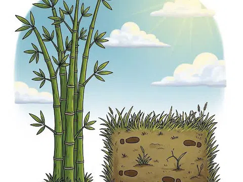 Ngụ ngôn về cây tre và cỏ dại