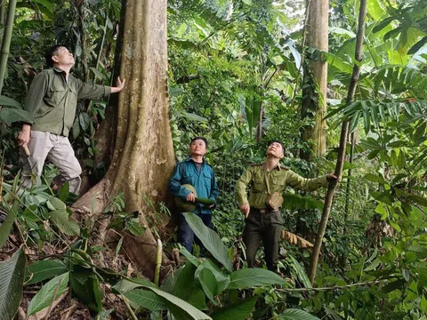 Tuyên Quang: Hạt Kiểm lâm Khu vực IV tuyên truyền bảo vệ rừng