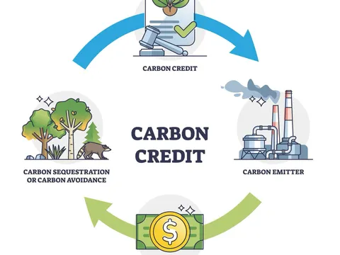 Việt Nam chuyển nhượng 1 triệu tấn CO2, biến nỗ lực chống biến đổi khí hậu thành nguồn thu