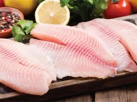 Cá rô phi Việt Nam: Tiềm năng 10 tỷ USD chờ "vươn ra biển lớn”