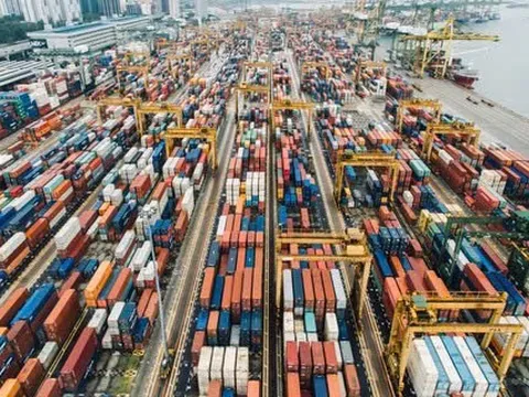 Gạo Việt Nam vươn lên vị trí số 2 thế giới: Vững bước trước sóng giá