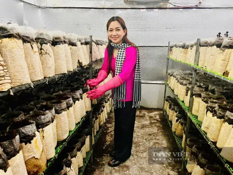Nữ Giám đốc HTX biến phế phẩm thành tài nguyên, làm giàu cho cộng đồng