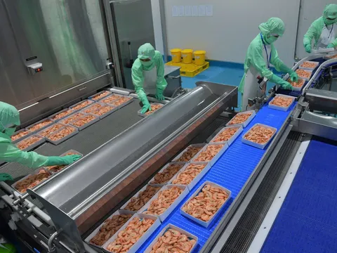 Biến động thị trường quốc tế: Cơ hội nào cho ngành Tôm Việt Nam?