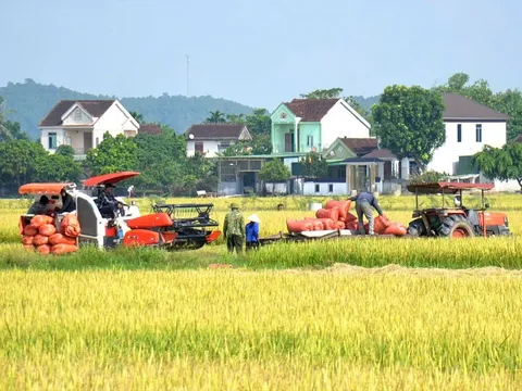 Tăng tốc xuất khẩu, nông nghiệp Nghệ An vẫn cần giải pháp đột phá