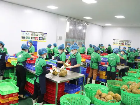 Đẩy mạnh xuất khẩu 2025: Chính phủ yêu cầu các bộ, ngành và địa phương tập trung tháo gỡ khó khăn, mở rộng thị trường
