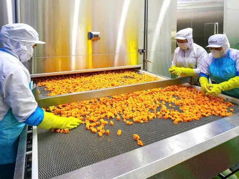 Đà tăng trưởng của rau quả chế biến: Hướng đi bền vững cho nông sản Việt