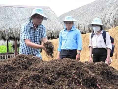 Đề án trồng trọt giảm phát thải giai đoạn 2025 - 2035