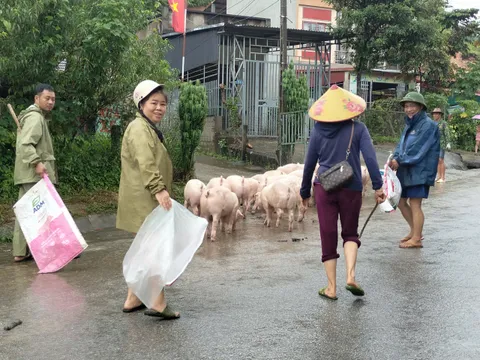 Tuyên Quang: Xã Nà Hang ứng phó với mưa lũ do ảnh hưởng bão số 10