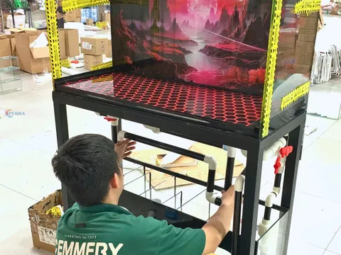 Địa điểm làm hồ cá uy tín tại TPHCM