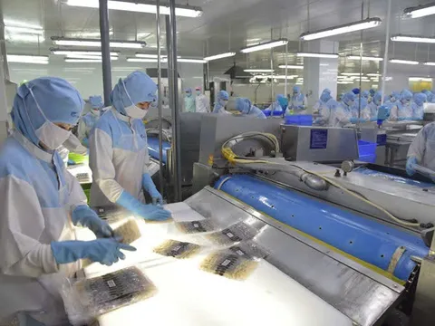 Việt Nam: Vững vàng vượt sóng gió