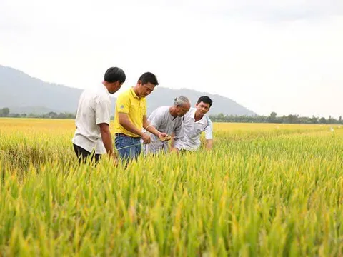 Việt Nam và Campuchia: Đòn bẩy thương mại từ sự tương đồng