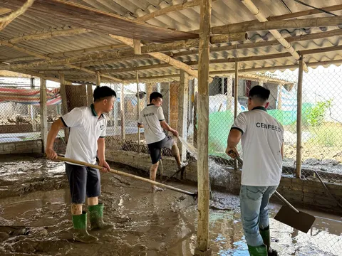 Công ty CP dinh dưỡng 3F Việt Nam đồng hành cùng người dân sau bão số 10