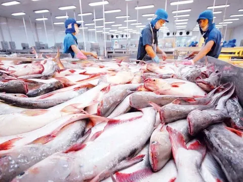 Thủy sản Việt Nam: Nâng cấp vị thế tại thị trường Đài Loan