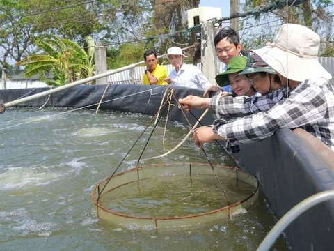 Cần Thơ tiên phong ứng dụng công nghệ cao: Giải pháp phát triển nông nghiệp thích ứng biến đổi khí hậu
