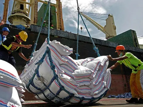 Philippines tính kéo dài lệnh tạm dừng nhập khẩu gạo đến 2026: Giải pháp nội địa và những áp lực thương mại