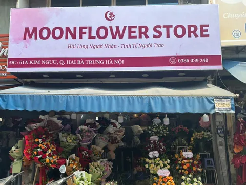 MoonFlower Store - Dịch vụ điện hoa toàn quốc 34 tỉnh thành Việt Nam