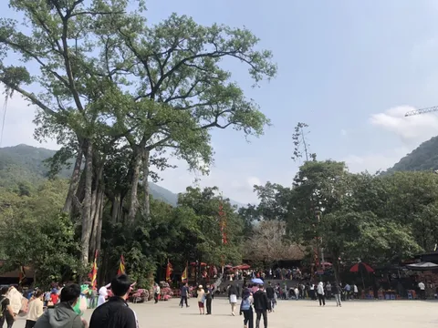Không gian phát triển mới của Phú Thọ: Từ di sản đất Tổ đến khát vọng hội nhập