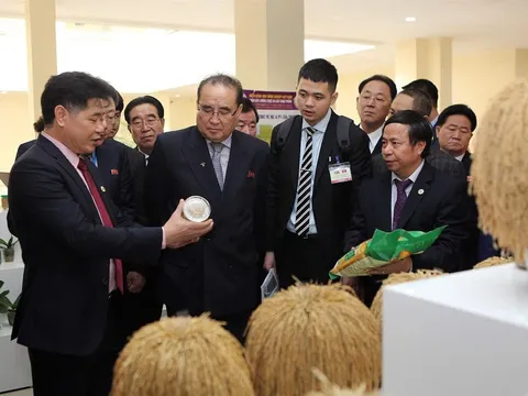 Việt Nam và Triều Tiên tăng cường hợp tác nông nghiệp: Từ chia sẻ kinh nghiệm đến chuyển giao công nghệ đột phá