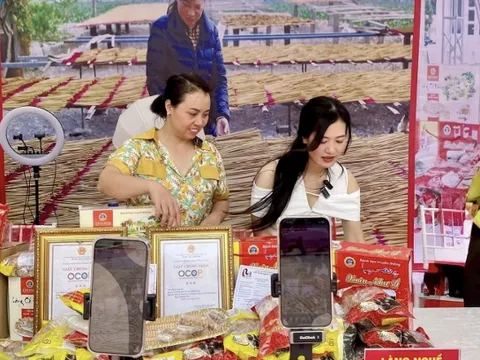 Xã Phượng Dực - Hà Nội: Phát triển sản phẩm OCOP gắn với thương mại điện tử và du lịch
