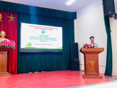 Tác dụng tuyệt vời của việc ăn bưởi đối với sức khoẻ