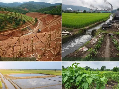 Những vấn đề cần quan tâm trước tình trạng “Sức khỏe đất” trồng trọt của Việt Nam đang có nguy cơ bị suy thoái và ảnh hưởng tới sức sản xuất nông sản của Việt Nam