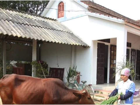 Phú Thọ: Xuân Hòa gắn công tác giảm nghèo với phát triển sinh kế bền vững