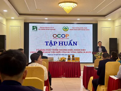 Khai mạc lớp tập huấn kỹ năng phát triển thương hiệu, nhãn hiệu cho chủ thể OCOP tiêu biểu tại Nghệ An