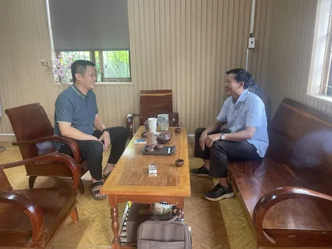 Trồng cây chắn gió cho vườn cà phê, sầu riêng - Lợi ích kép từ giải pháp hữu hiệu