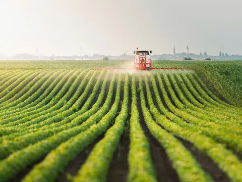 Từ xuất thô sang "mỏ vàng" bền vững: Cuộc cách mạng đa giá trị của nông nghiệp Việt