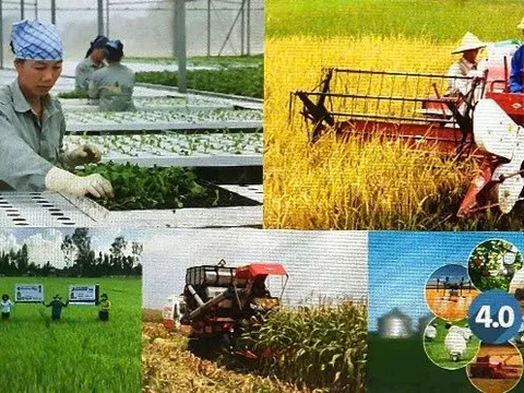 Giai cấp nông dân Việt Nam: Tâm thế và vị thế mới trong kỷ nguyên vươn mình