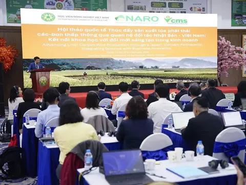 Việt Nam - Nhật Bản: Hợp tác chuẩn hóa lúa gạo phát thải thấp vì mục tiêu tăng trưởng xanh